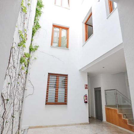 Appartamento Renthas Vid Loft Málaga Esterno foto